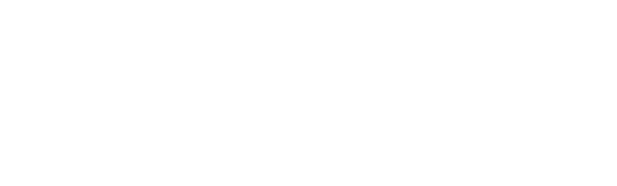 VisionNav Robotics Co., Ltd. logo