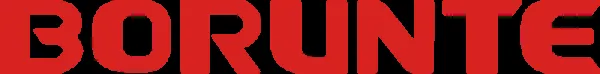 Borunte Robot Co., Ltd. logo