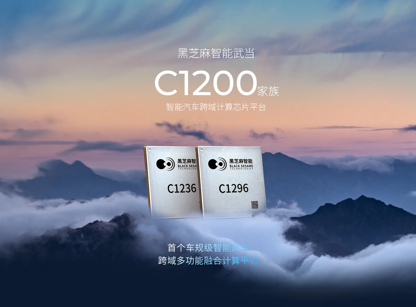 Black Sesame C1200 Robot Domain Controller