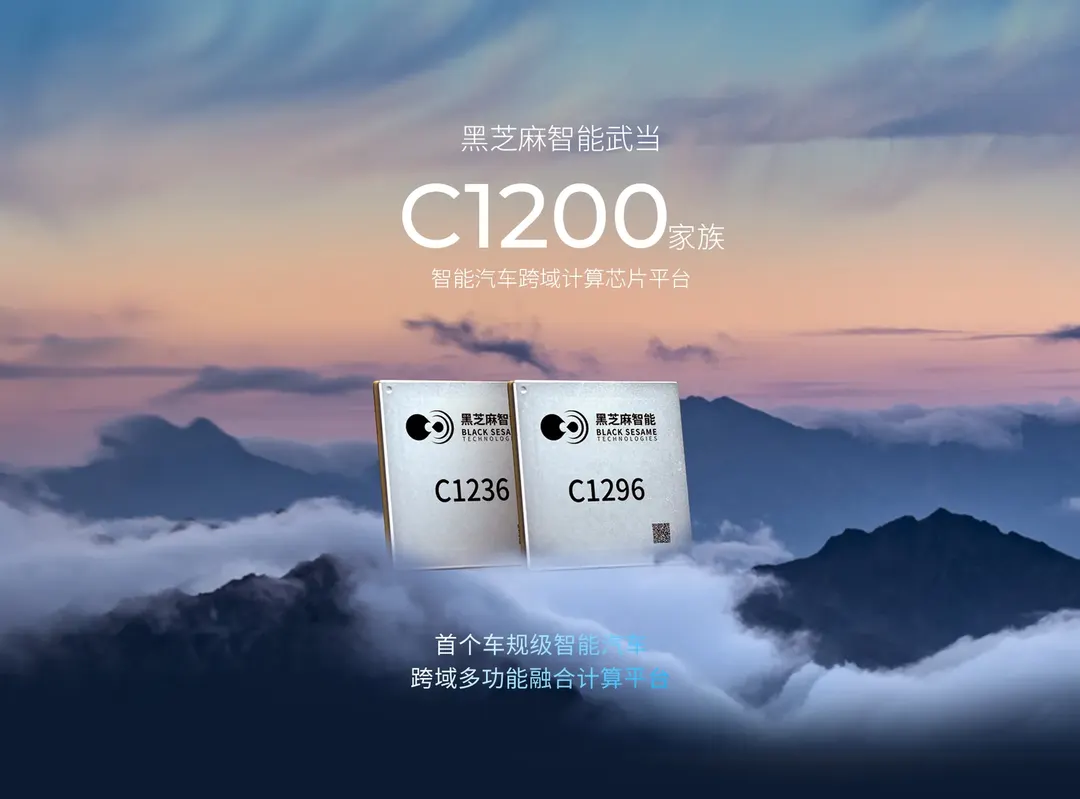 Black Sesame C1200 Robot Domain Controller